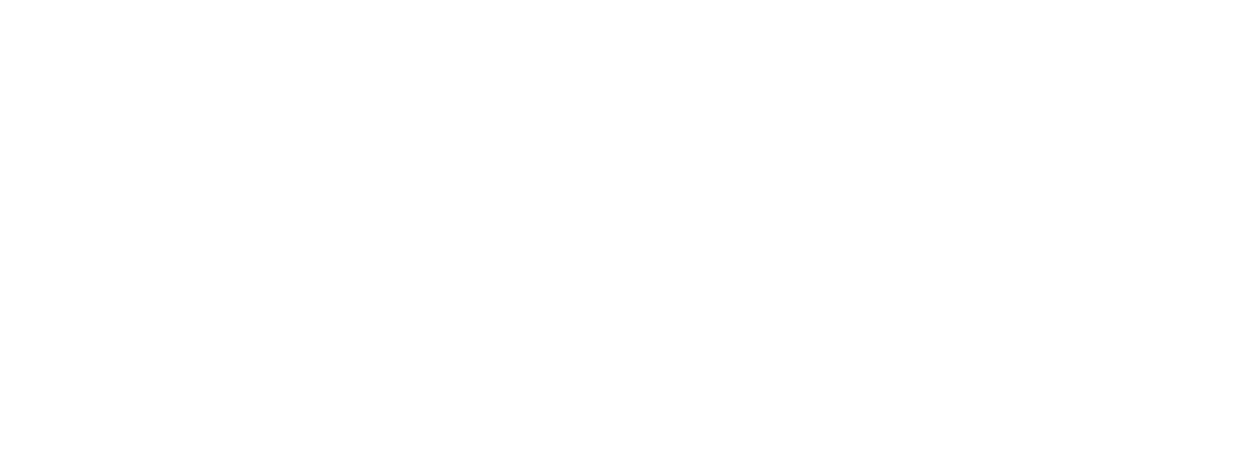 Vidi